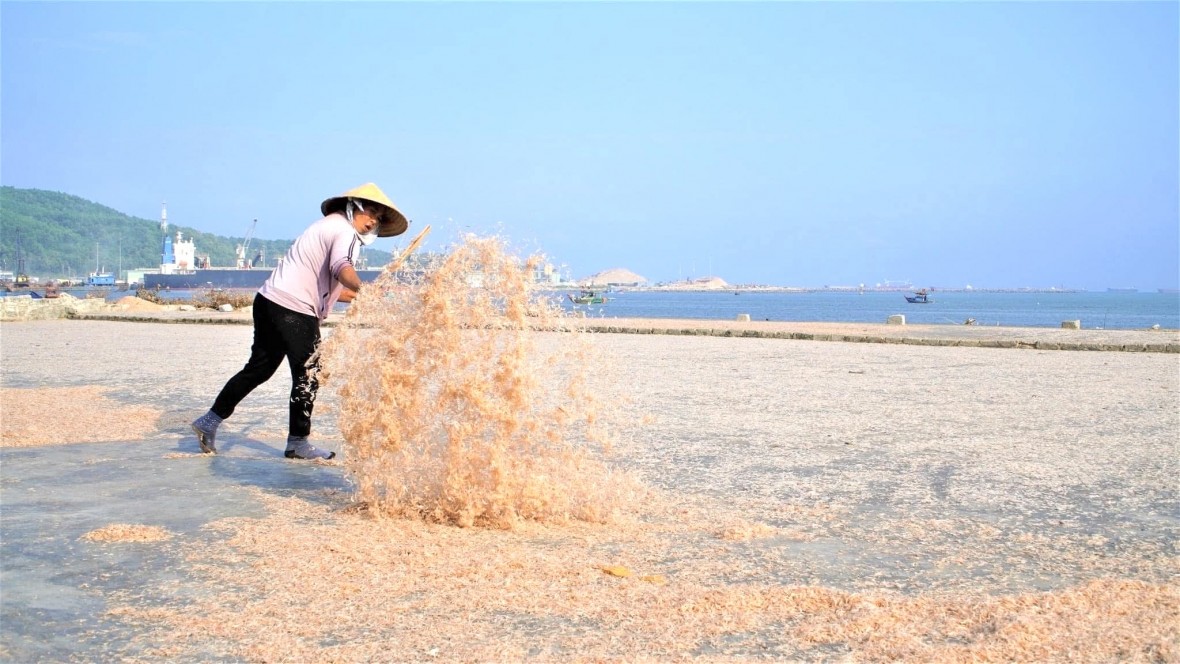 Thu tiền triệu từ nghề đánh bắt moi