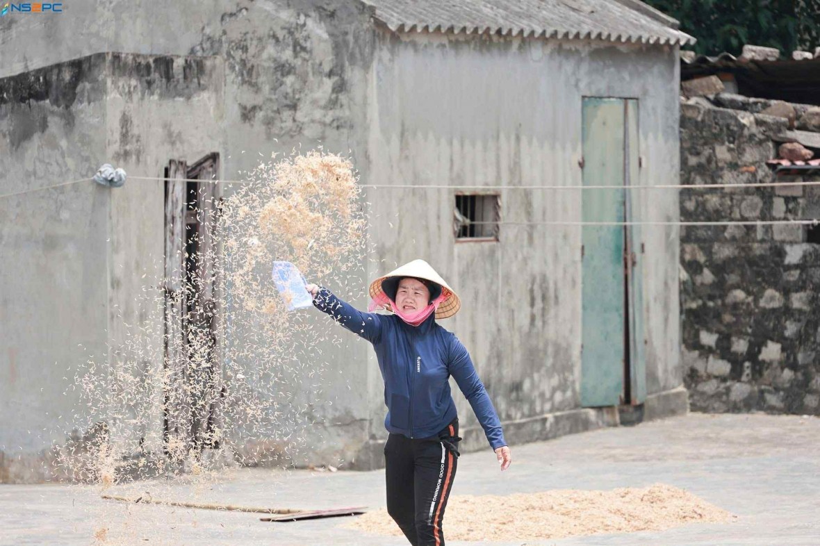 Nghi Sơn mùa phơi ruốc – Nơi giọt mồ hôi hoà cùng nụ cười biển cả