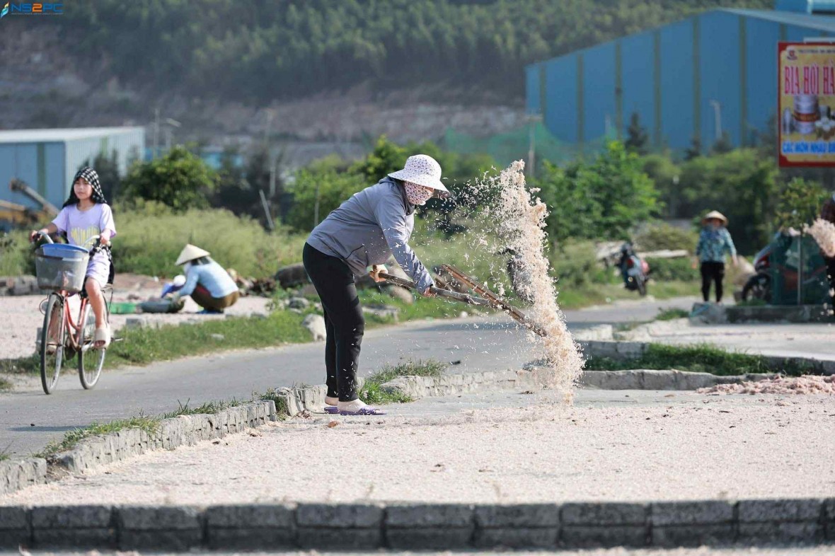 Nghi Sơn mùa phơi ruốc – Nơi giọt mồ hôi hoà cùng nụ cười biển cả