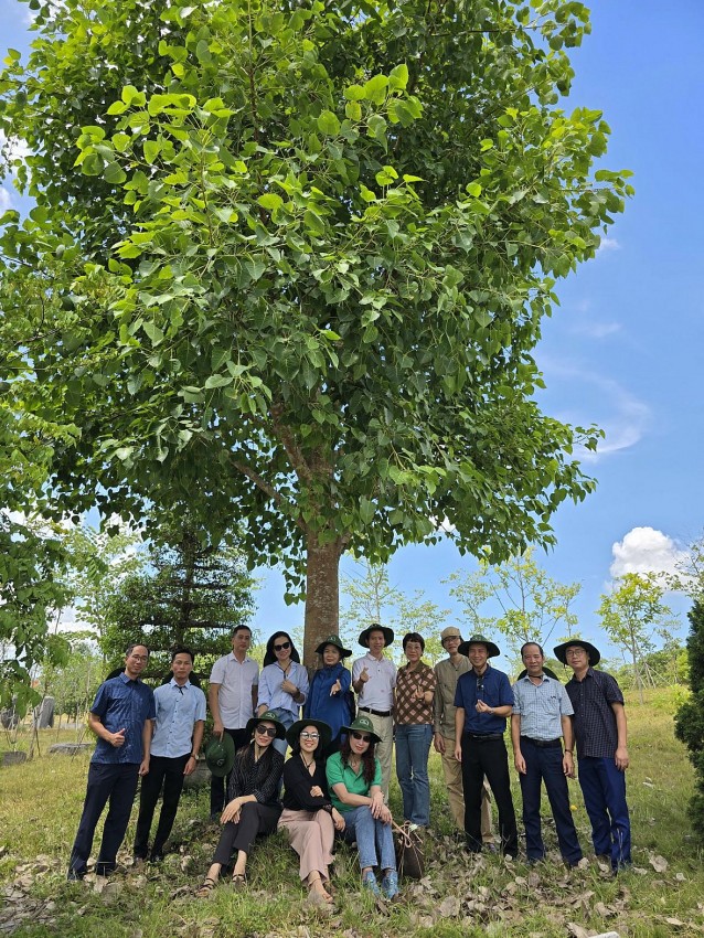 Tập thể cán bộ, phóng viên chụp ảnh lưu niệm bên cây bồ đề Báo Pháp luật Việt Nam trồng tại Khu di tích quốc gia đặc biệt Ngã ba Đồng Lộc.