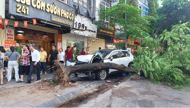 Chiếc ô tô tông gục cây xanh trên phố Trần Đại Nghĩa 