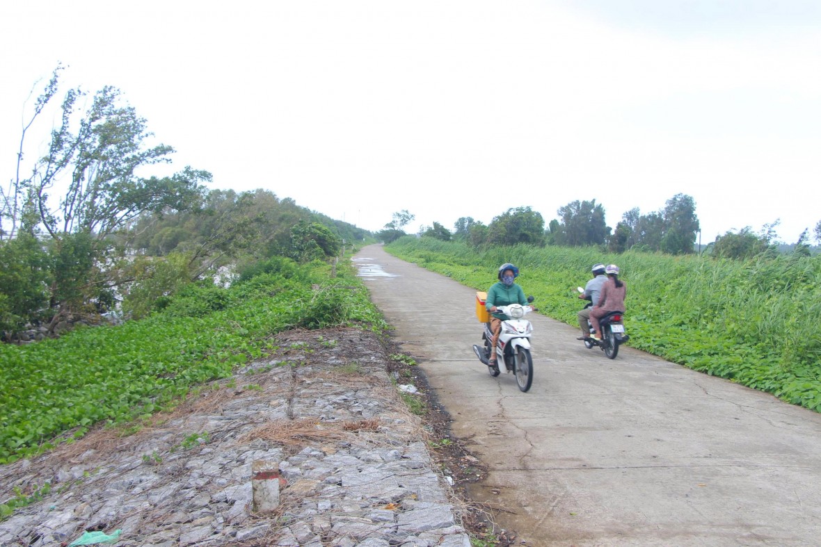 Cà Mau chủ động bảo vệ đê biển Tây trong mùa mưa bão Cà Mau chủ động bảo vệ đê biển Tây trong mùa mưa bão