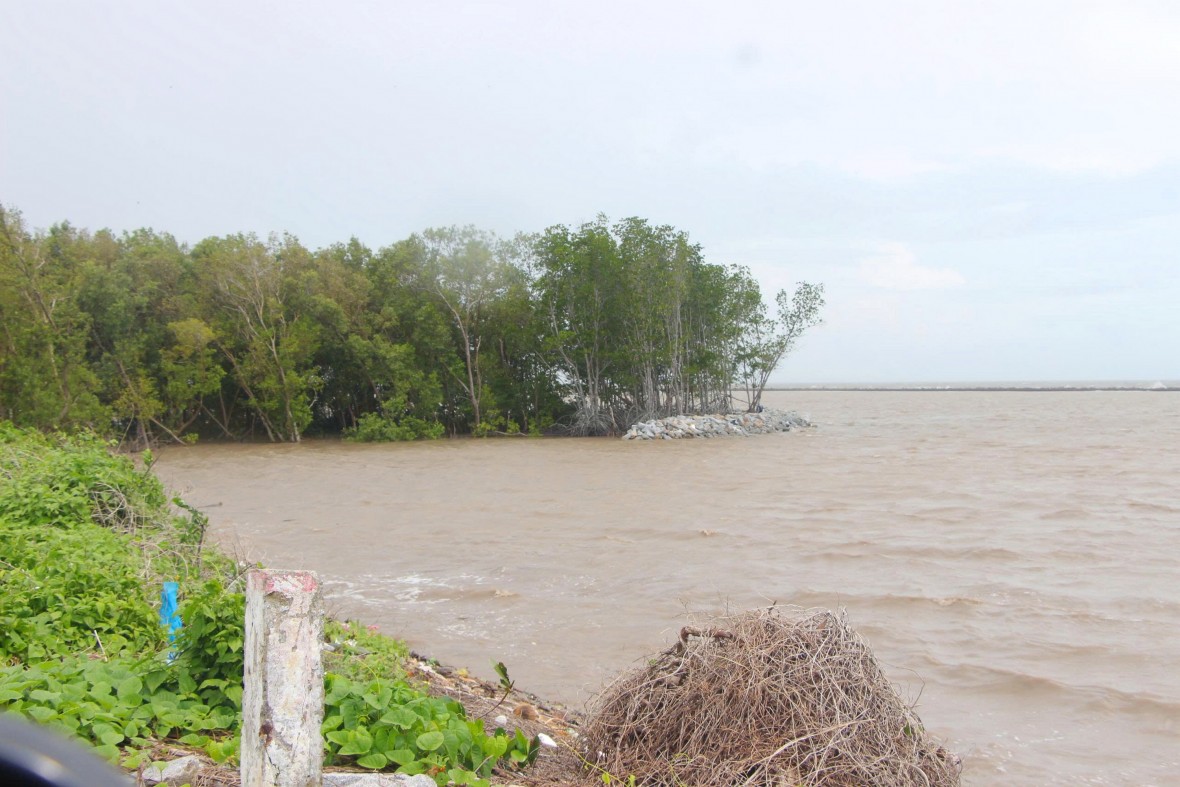 Cà Mau chủ động bảo vệ đê biển Tây trong mùa mưa bão Cà Mau chủ động bảo vệ đê biển Tây trong mùa mưa bão