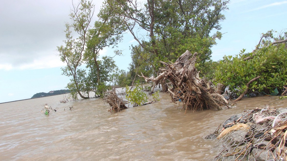 Cà Mau chủ động bảo vệ đê biển Tây trong mùa mưa bão Cà Mau chủ động bảo vệ đê biển Tây trong mùa mưa bão