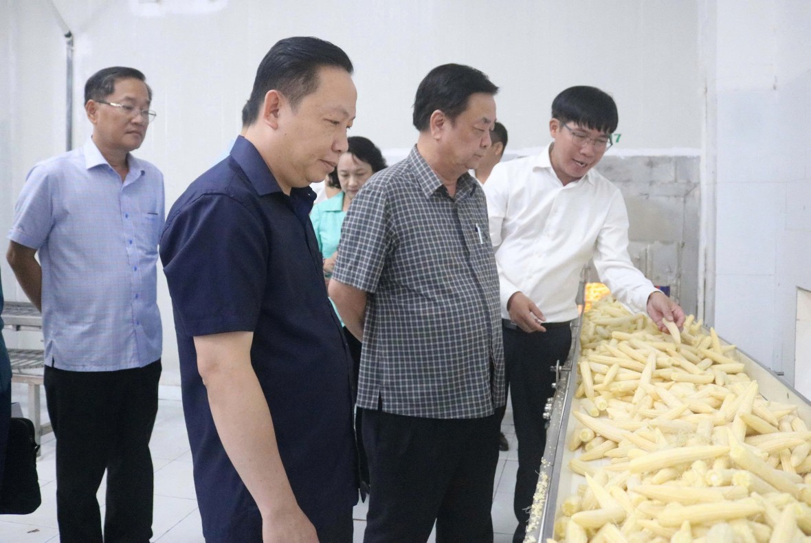 Phó Chủ tịch Quốc hội Lê Minh Hoan: An Giang cần đẩy mạnh đổi mới sáng tạo, phát triển sản xuất hiện đại để tạo đột phá mới Phó Chủ tịch Quốc hội Lê Minh Hoan: An Giang cần đẩy mạnh đổi mới sáng tạo, phát triển sản xuất hiện đại để tạo đột phá mới