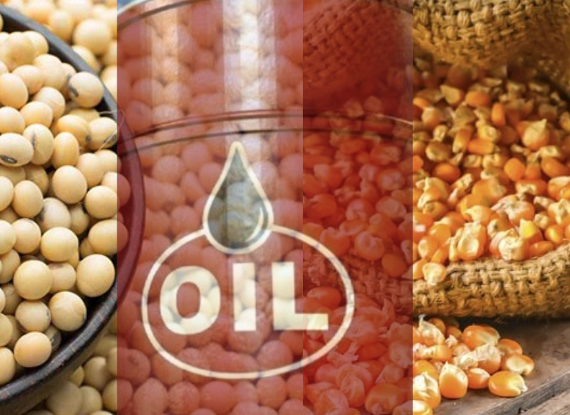 MXV-Index liên tục đảo chiều, giá hai mặt hàng dầu thô giảm nhẹ