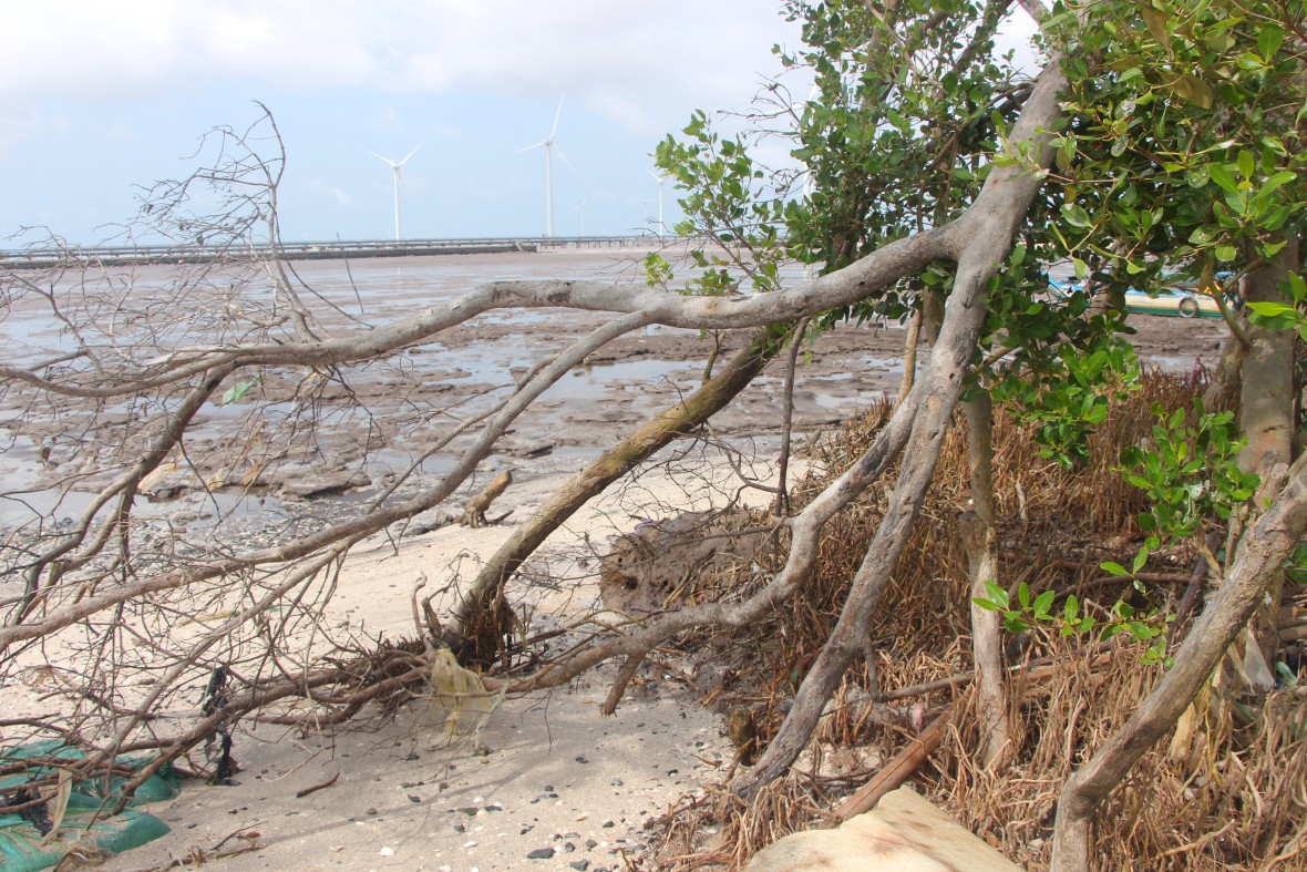 Sạt lở bờ sông, bờ biển diễn biến nghiêm trọng, nhiều khu vực ở Cà Mau nguy cơ mất an toàn cao