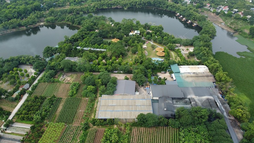 Hà Nội: Bồi thường 100% giá trị vật nuôi không thể di chuyển khi Nhà nước thu hồi đất