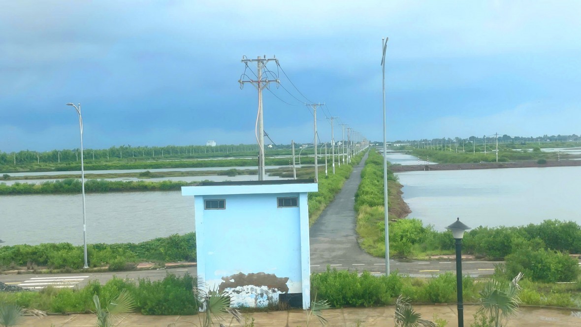 Cà Mau: Tháo gỡ vướng mắc, đẩy nhanh tiến độ Khu nông nghiệp ứng dụng công nghệ cao phát triển tôm