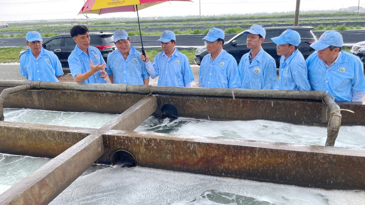 Cà Mau: Tháo gỡ vướng mắc, đẩy nhanh tiến độ Khu nông nghiệp ứng dụng công nghệ cao phát triển tôm