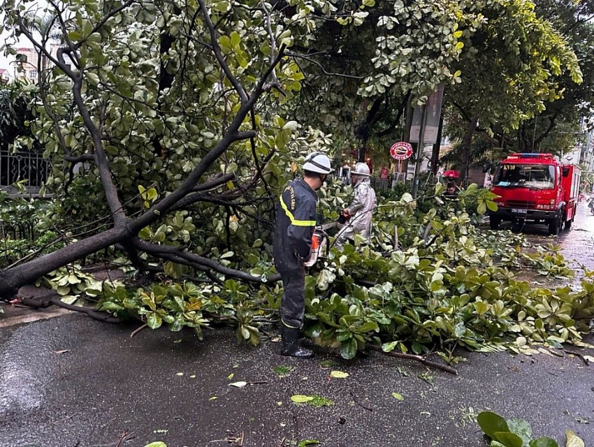 Lực lượng Cảnh sát PCCC&CNCH xử lý cây gẫy đổ.