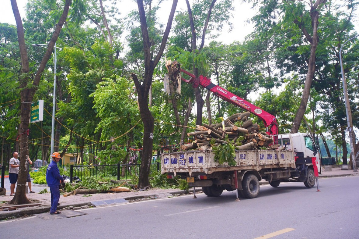 Theo số liệu thống kê sơ bộ, sau cơn dông lốc diễn ra chiều tối 19/7, Hà Nội có khoảng 940 cây gãy đổ cành. Ảnh: Tiền phong