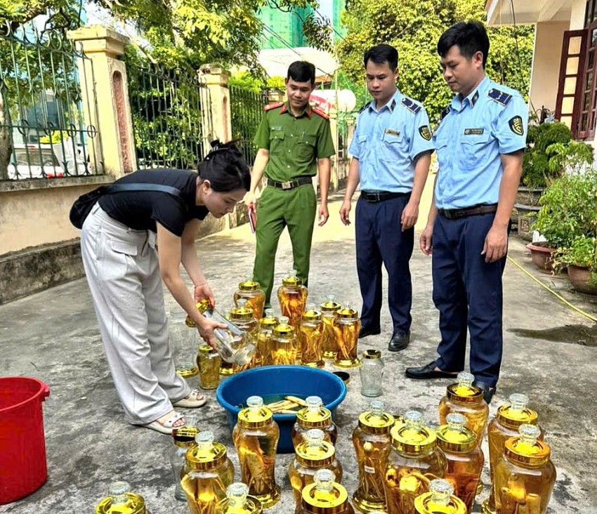 Lực lượng QLTT Thanh Hóa tiến hành tiêu huỷ 37 bình rượu sâm không rõ nguồn gốc xuất xứ.