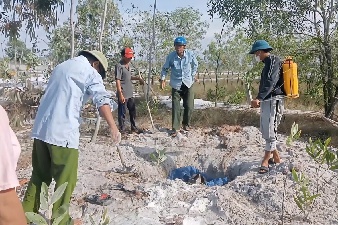 Tại xã Quảng Trạch, có 12/13 thôn xuất hiện DTLCP với 2.006 con lợn bị tiêu hủy. Tại xã Quảng Trạch, có 12/13 thôn xuất hiện DTLCP với 2.006 con lợn bị tiêu hủy.