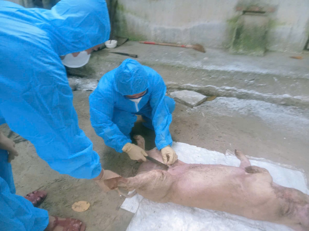 Cơ quan chức năng lấy mẫu gửi đi xét nghiệm. Cơ quan chức năng lấy mẫu gửi đi xét nghiệm.