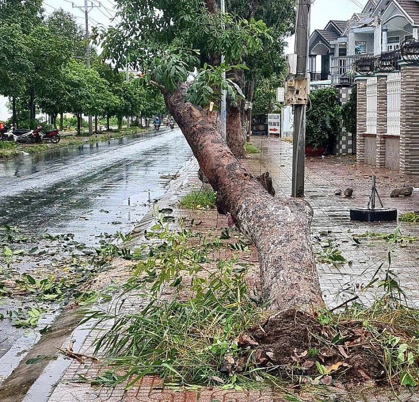 Đồng Tháp: Giông lốc hai ngày liên tiếp làm 26 căn nhà bị hư hại