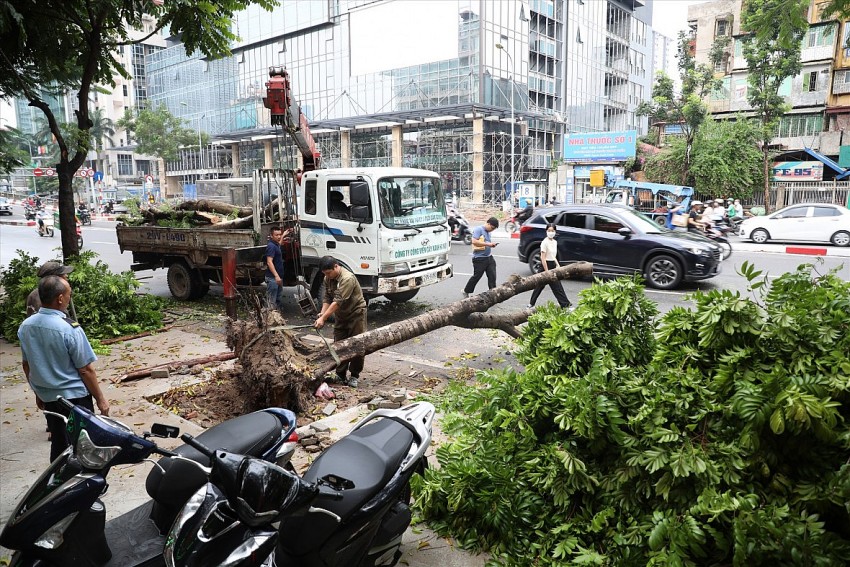 Hà Nội tăng cường kiểm tra, đôn đốc công tác phòng, chống thiên tai trước bão số 3