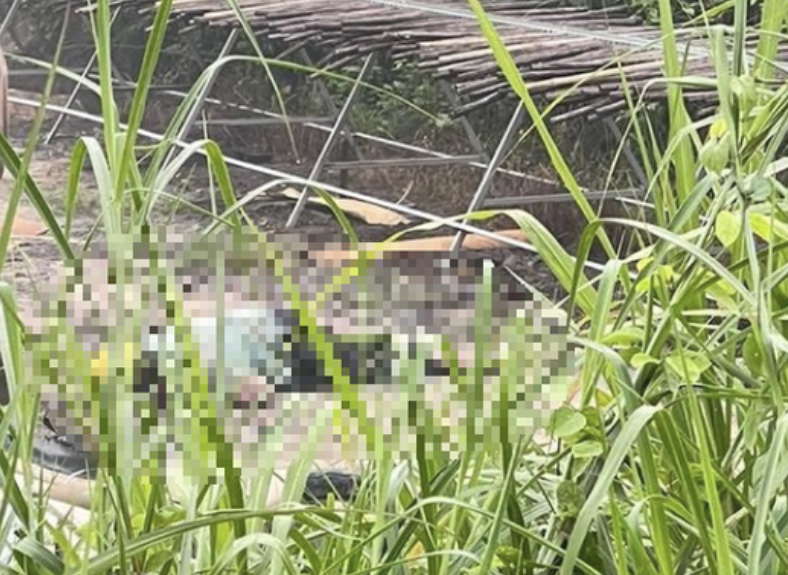 Đồng Nai: Điều tra vụ người đàn ông tử vong ở khúc cua đường số 8