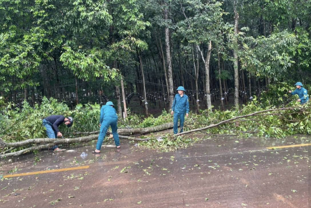 Khẩn trương khắc phục sự cố dông lốc làm gẫy cây, tốc mái nhà dân tại xã Tân Quan