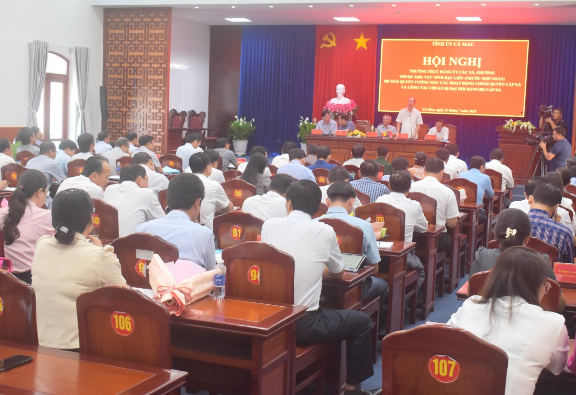 Cà Mau: Tập trung tháo gỡ khó khăn cho cấp xã, chuẩn bị Đại hội Đảng bộ mới