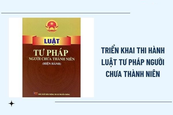 Hà Nội triển khai thi hành Luật Tư pháp người chưa thành niên. (Hình minh họa) Hà Nội triển khai thi hành Luật Tư pháp người chưa thành niên. (Hình minh họa)