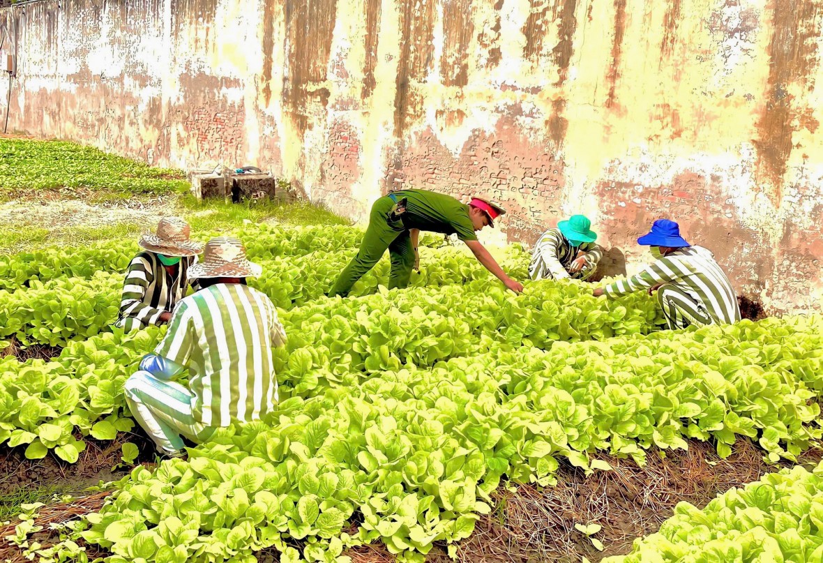 Cà Mau: Tích cực chuẩn bị các điều kiện đặc xá dịp 2/9