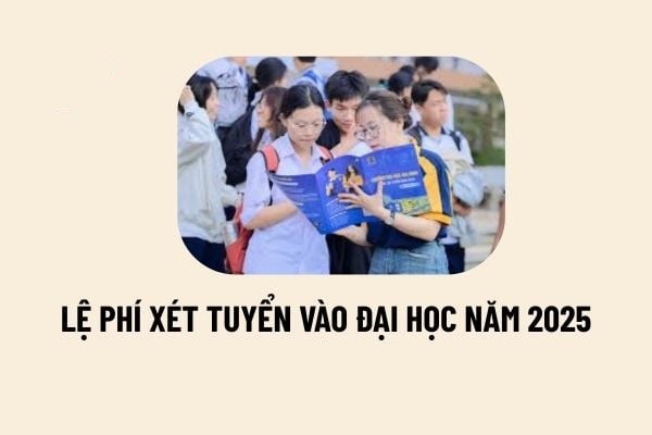 Những lưu ý khi nộp lệ phí trực tuyến xét tuyển Đại học 2025. (Ảnh minh họa)
