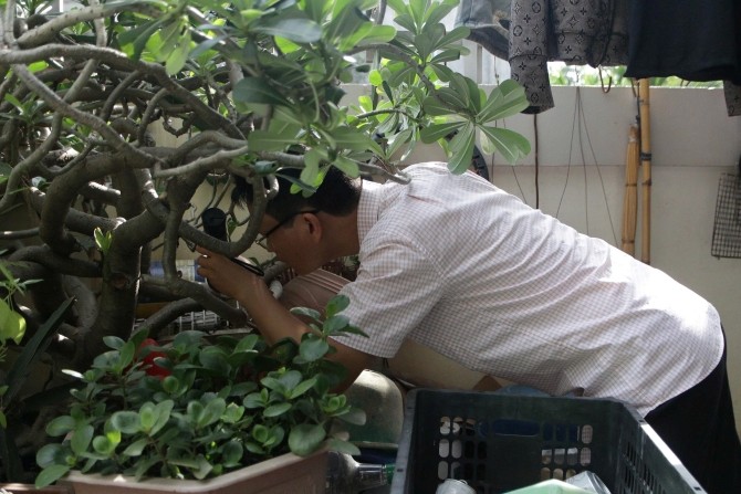 Cán bộ y tế của CDC Hà Nội giám sát ổ dịch sốt xuất huyết tại cộng đồng.(Ảnh: CDC Hà Nội)