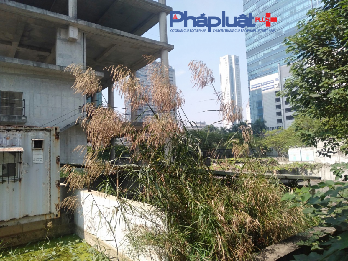 Cận cảnh toà tháp Vicem Tower vừa được Thanh tra Chính phủ đưa vào kế hoạch thanh tra Cận cảnh toà tháp Vicem Tower vừa được Thanh tra Chính phủ đưa vào kế hoạch thanh tra