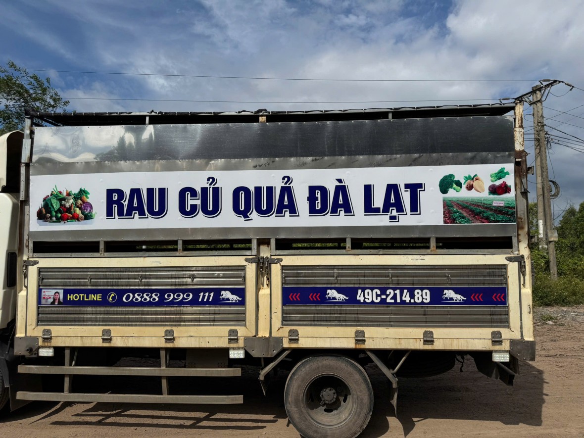 Dùng xe chở rau củ quả vận chuyển 97 con heo mắc dịch tả châu Phi