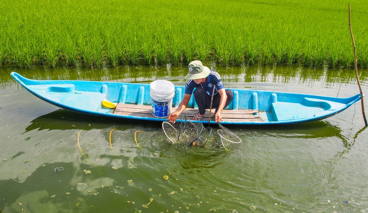 Phát triển bền vững thương hiệu 