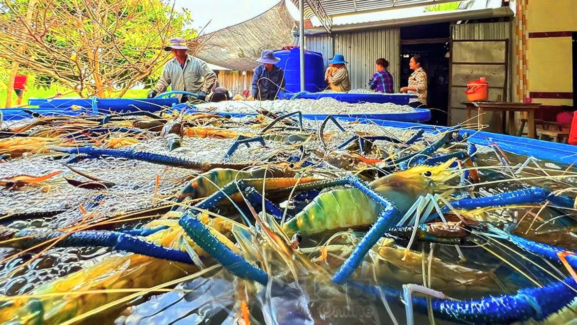 Phát triển bền vững thương hiệu 