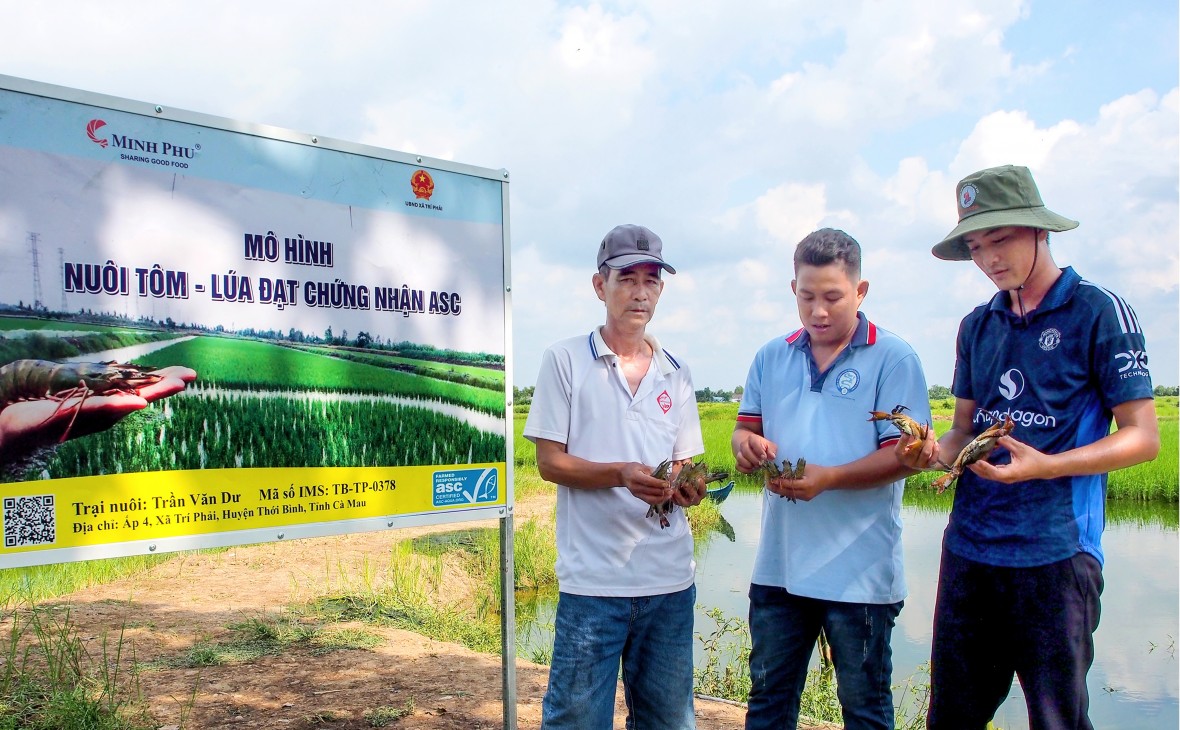 Phát triển bền vững thương hiệu 