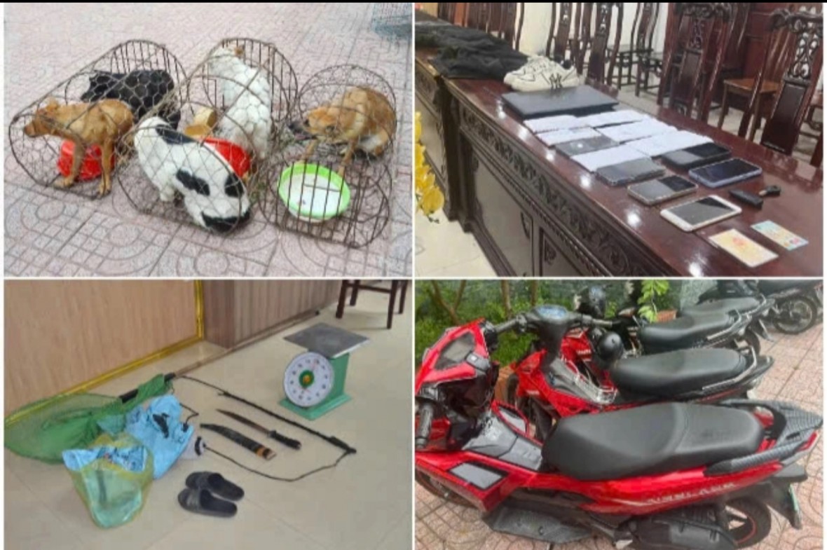 Tang vật được thu giữ