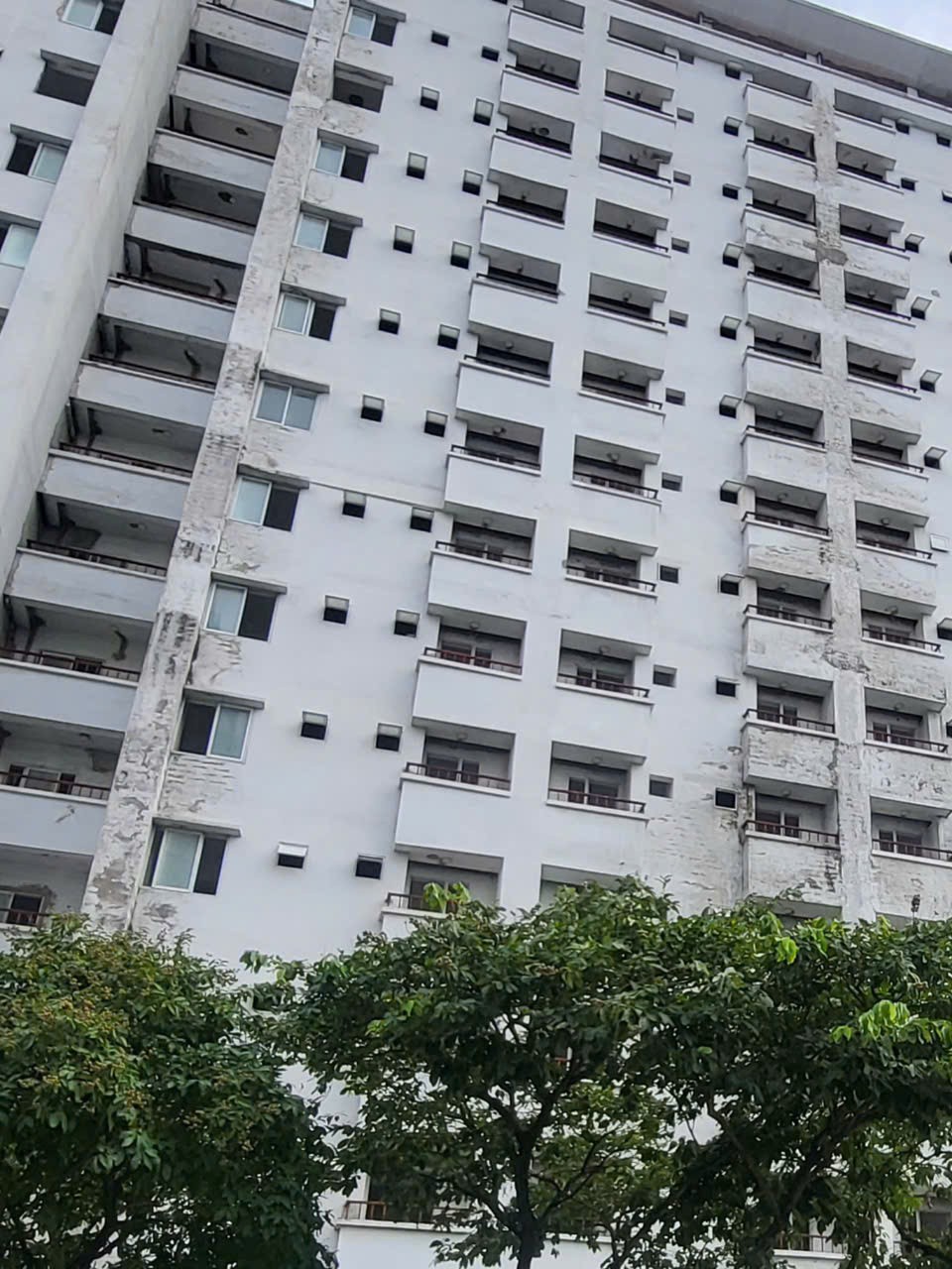 Dự án tái định cư bị bỏ hoang nhiều năm – Lãng phí nối dài, người dân vẫn 