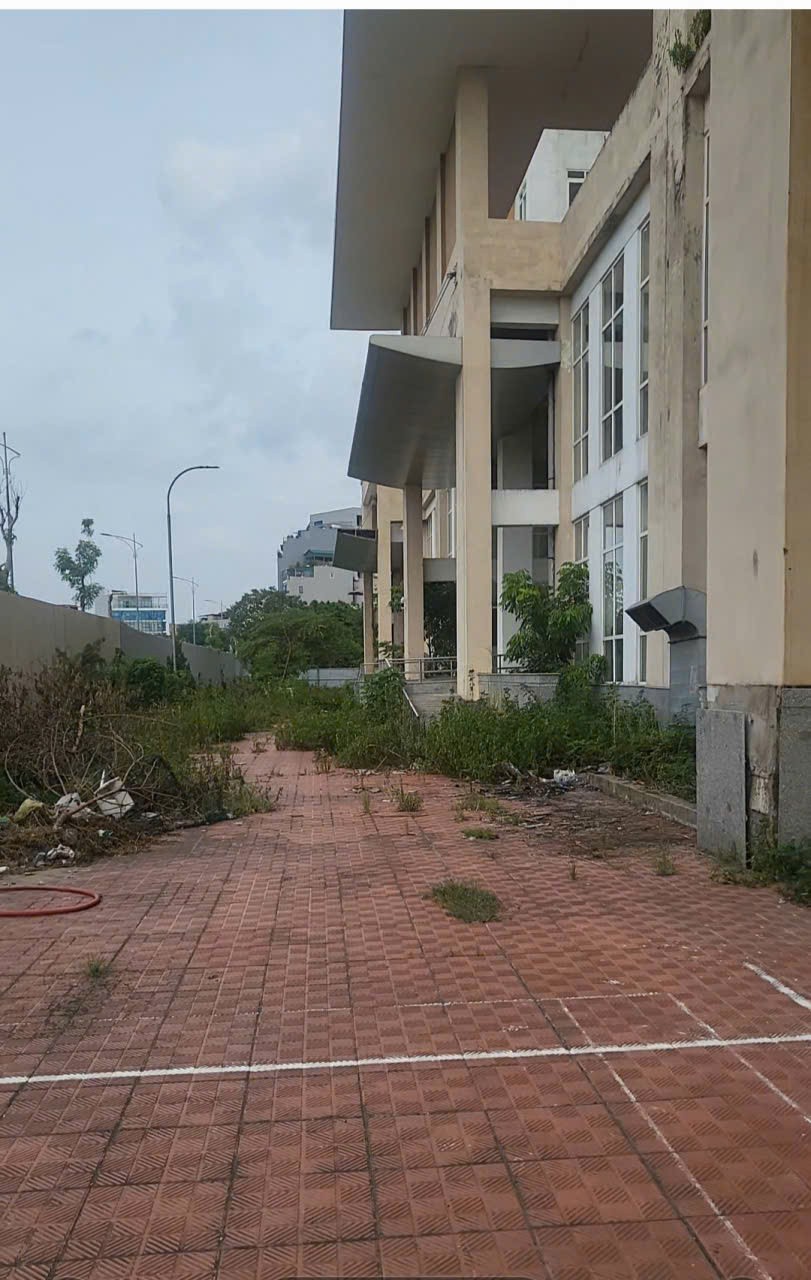 Dự án tái định cư bị bỏ hoang nhiều năm – Lãng phí nối dài, người dân vẫn 