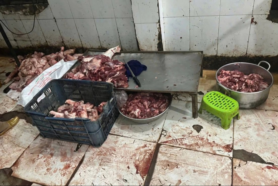 Thịt heo được sơ chế dưới nền nhà nhầy nhụa Thịt heo được sơ chế dưới nền nhà nhầy nhụa