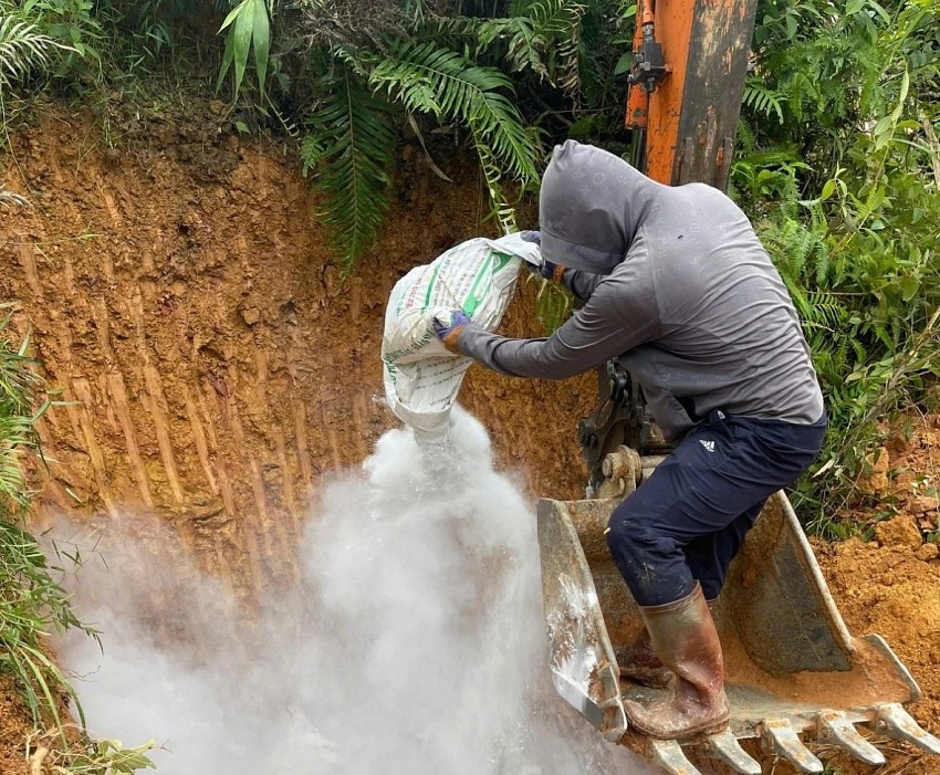 Cao Bằng tạm dừng mua bán lợn do dịch tả lợn Châu Phi phức tạp