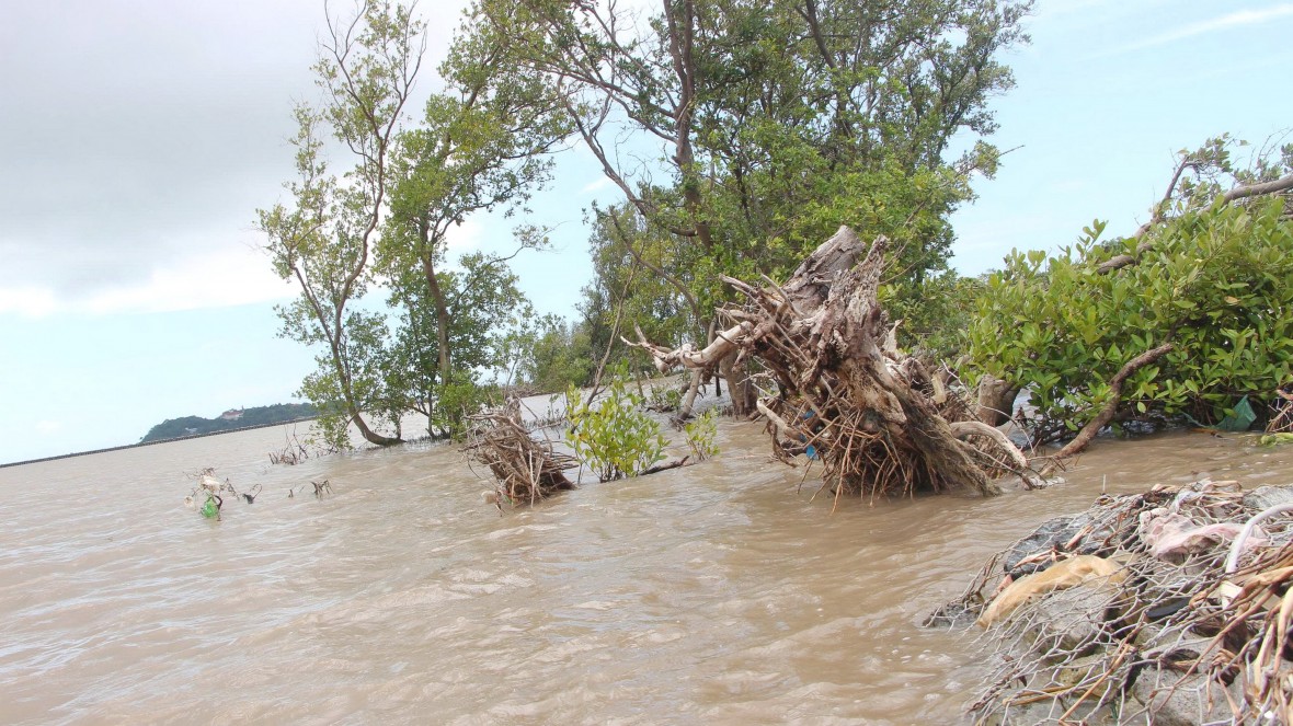 Cà Mau: Chủ động “4 tại chỗ” ứng phó thiên tai