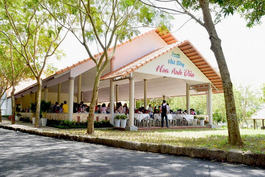 Hành trình đến Suối Mơ– “Biển ngọt” giữa núi rừng Đồng Nai