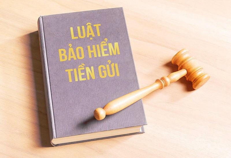 Lấy ý kiến hoàn thiện Dự thảo Luật Bảo hiểm tiền gửi (sửa đổi): Nâng cao hiệu quả bảo vệ người gửi tiền Lấy ý kiến hoàn thiện Dự thảo Luật Bảo hiểm tiền gửi (sửa đổi): Nâng cao hiệu quả bảo vệ người gửi tiền