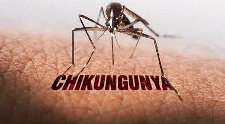 Bộ Y tế sẵn sàng kịch bản ứng phó khi Chikungunya xuất hiện