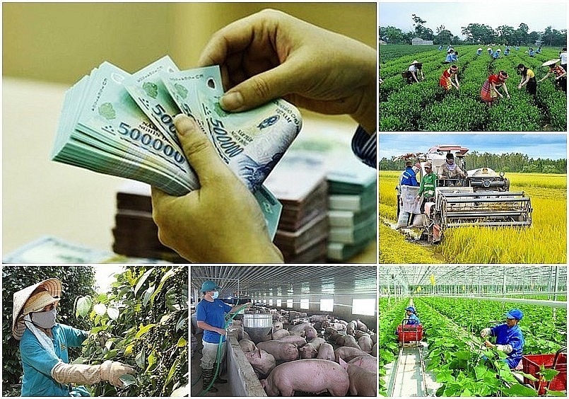 Tháo gỡ khó khăn, vướng mắc khi thực hiện các chương trình mục tiêu quốc gia