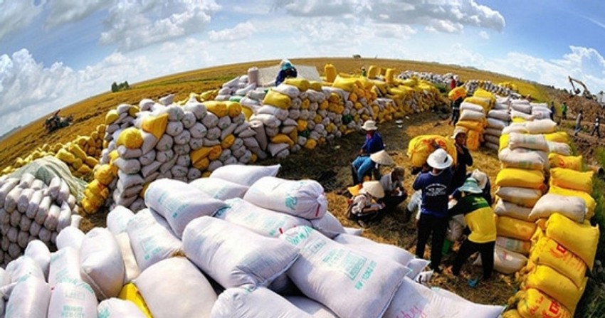 Thủ tướng yêu cầu giải pháp ứng phó biến động thị trường gạo