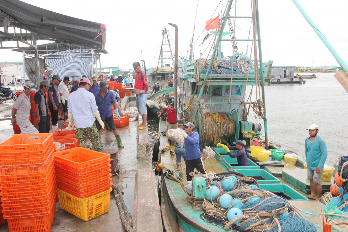 Cà Mau mở cao điểm siết chặt quản lý tàu cá, chống khai thác IUU Cà Mau mở cao điểm siết chặt quản lý tàu cá, chống khai thác IUU