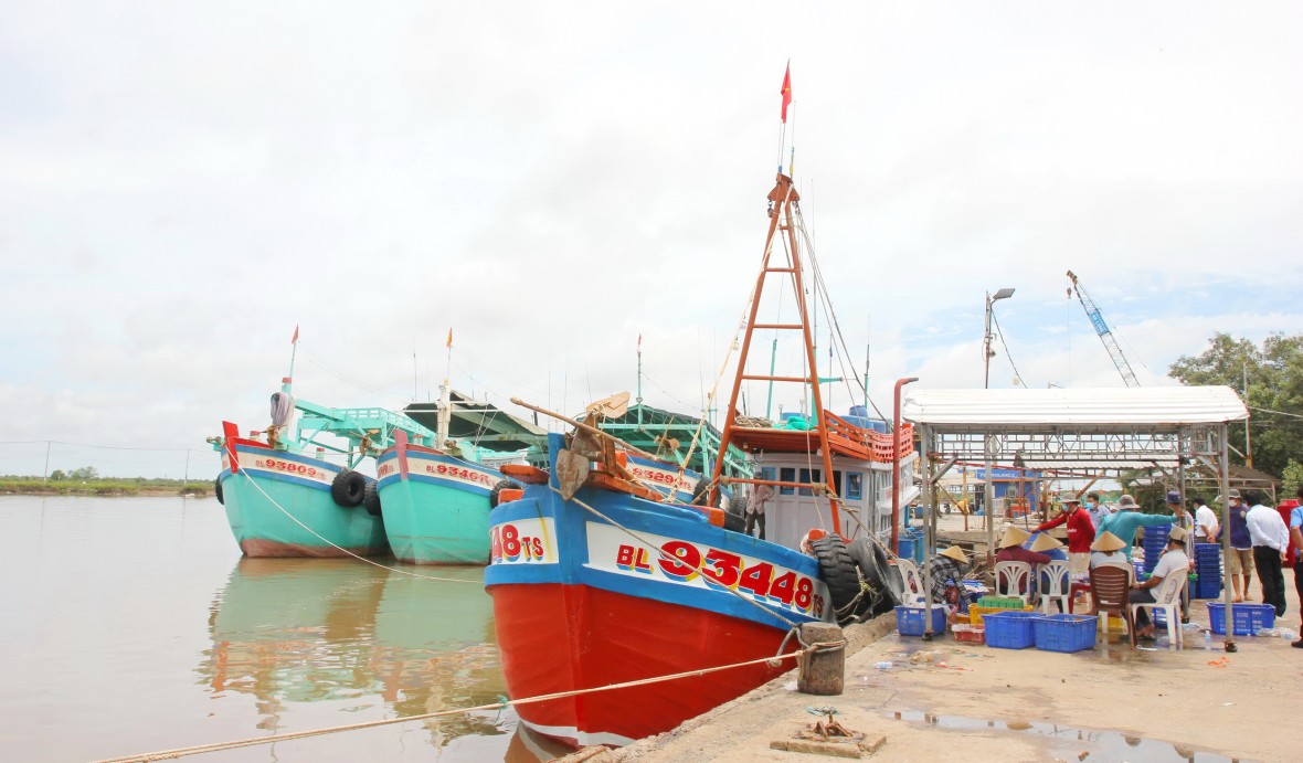 Cà Mau mở cao điểm siết chặt quản lý tàu cá, chống khai thác IUU Cà Mau mở cao điểm siết chặt quản lý tàu cá, chống khai thác IUU