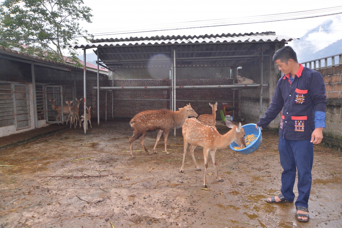 Chương trình MTQG phát triển vùng dân tộc thiểu số và miền núi hoàn thành, vượt mức 06/09 nhóm mục tiêu đề ra