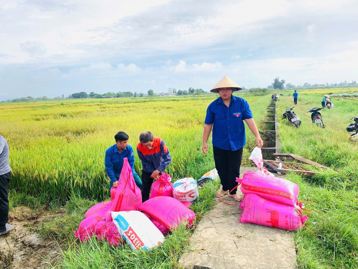 Tuổi trẻ Hà Tĩnh tích cực giúp dân pòng chống bão số 5 Tuổi trẻ Hà Tĩnh tích cực giúp dân pòng chống bão số 5