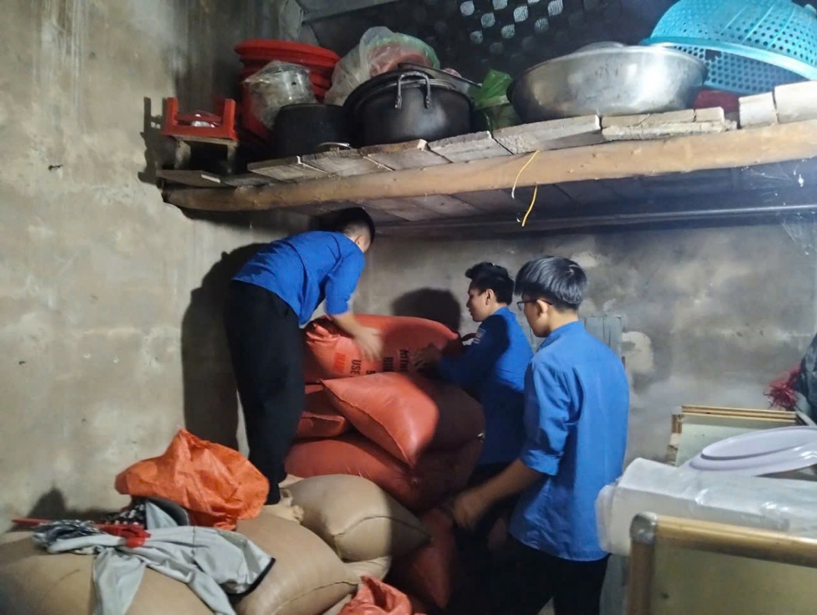 Tuổi trẻ Hà Tĩnh tích cực giúp dân pòng chống bão số 5 Tuổi trẻ Hà Tĩnh tích cực giúp dân pòng chống bão số 5