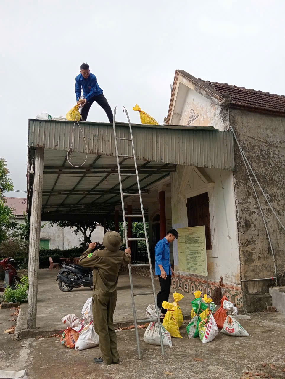 Tuổi trẻ Hà Tĩnh tích cực giúp dân pòng chống bão số 5 Tuổi trẻ Hà Tĩnh tích cực giúp dân pòng chống bão số 5